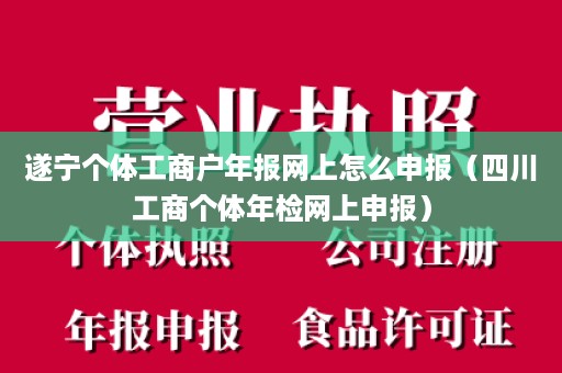 遂宁个体工商户年报网上怎么申报（四川工商个体年检网上申报）