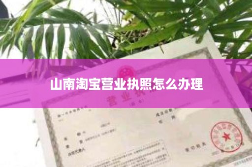 山南淘宝营业执照怎么办理