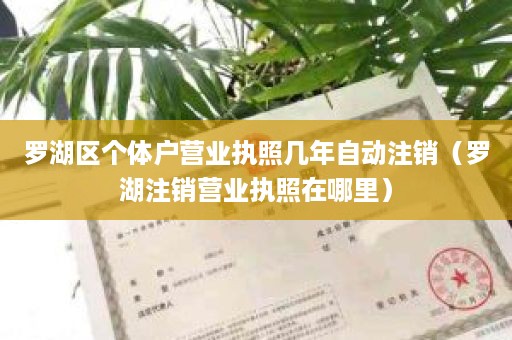 罗湖区个体户营业执照几年自动注销（罗湖注销营业执照在哪里）