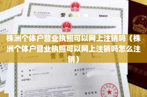 株洲个体户营业执照可以网上注销吗（株洲个体户营业执照可以网上注销吗怎么注销）