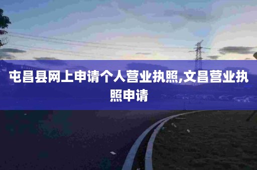 屯昌县网上申请个人营业执照,文昌营业执照申请