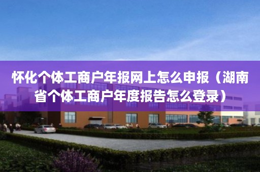 怀化个体工商户年报网上怎么申报（湖南省个体工商户年度报告怎么登录）