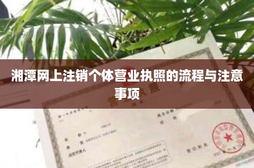 湘潭网上注销个体营业执照的流程与注意事项