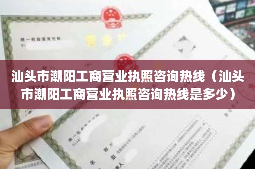 汕头市潮阳工商营业执照咨询热线（汕头市潮阳工商营业执照咨询热线是多少）