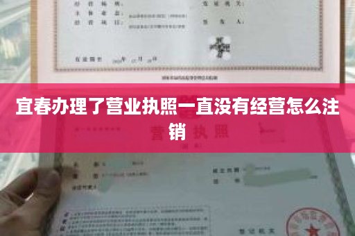 宜春办理了营业执照一直没有经营怎么注销