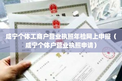 咸宁个体工商户营业执照年检网上申报（咸宁个体户营业执照申请）