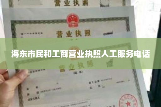 海东市民和工商营业执照人工服务电话