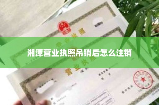 湘潭营业执照吊销后怎么注销