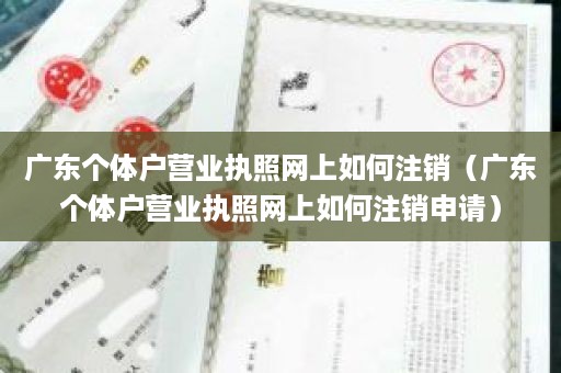 广东个体户营业执照网上如何注销（广东个体户营业执照网上如何注销申请）