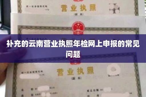 补充的云南营业执照年检网上申报的常见问题