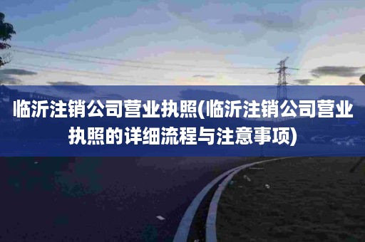 临沂注销公司营业执照(临沂注销公司营业执照的详细流程与注意事项)