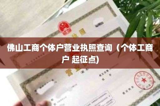 佛山工商个体户营业执照查询（个体工商户 起征点)