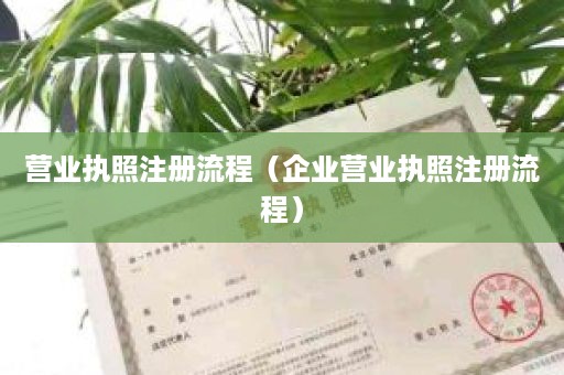 营业执照注册流程（企业营业执照注册流程）