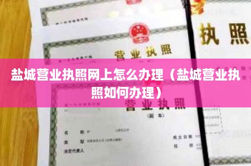 盐城营业执照网上怎么办理（盐城营业执照如何办理）