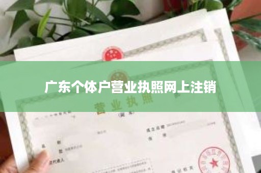 广东个体户营业执照网上注销