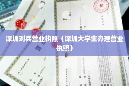 深圳刘兵营业执照（深圳大学生办理营业执照）