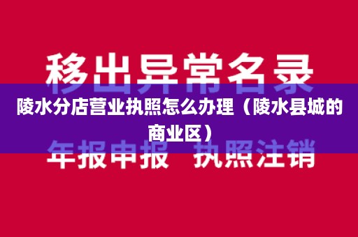 陵水分店营业执照怎么办理（陵水县城的商业区）