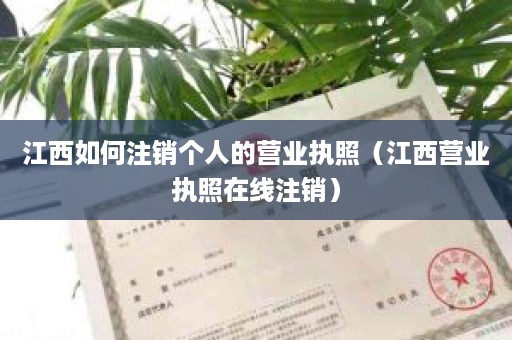 江西如何注销个人的营业执照（江西营业执照在线注销）