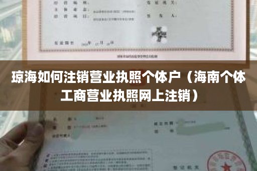 琼海如何注销营业执照个体户（海南个体工商营业执照网上注销）