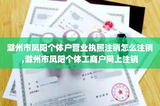 滁州市凤阳个体户营业执照注销怎么注销,滁州市凤阳个体工商户网上注销