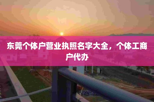 东莞个体户营业执照名字大全，个体工商户代办