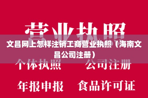 文昌网上怎样注销工商营业执照（海南文昌公司注册）