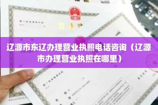 辽源市东辽办理营业执照电话咨询（辽源市办理营业执照在哪里）