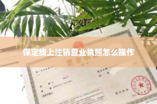 保定线上注销营业执照怎么操作