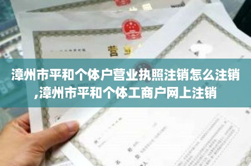 漳州市平和个体户营业执照注销怎么注销,漳州市平和个体工商户网上注销