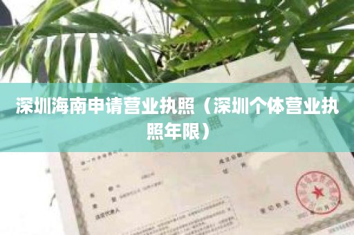 深圳海南申请营业执照（深圳个体营业执照年限）