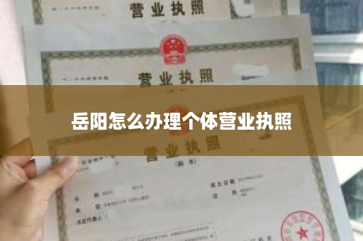 岳阳怎么办理个体营业执照