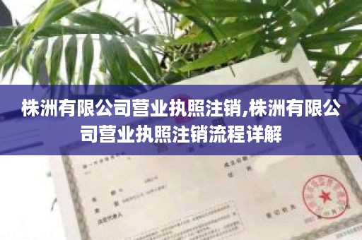 株洲有限公司营业执照注销,株洲有限公司营业执照注销流程详解