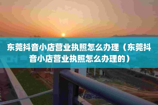 东莞抖音小店营业执照怎么办理（东莞抖音小店营业执照怎么办理的）