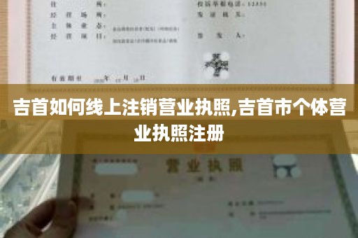 吉首如何线上注销营业执照,吉首市个体营业执照注册