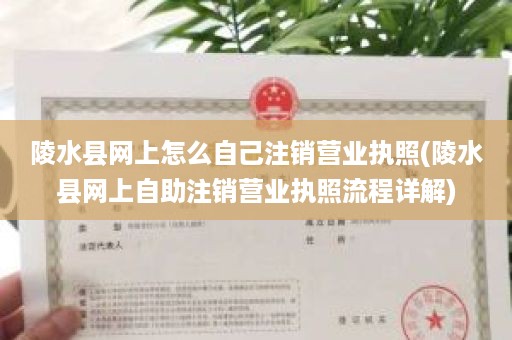 陵水县网上怎么自己注销营业执照(陵水县网上自助注销营业执照流程详解)