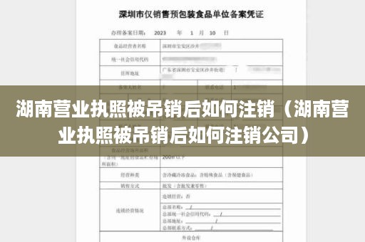 湖南营业执照被吊销后如何注销（湖南营业执照被吊销后如何注销公司）