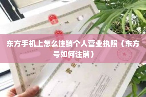 东方手机上怎么注销个人营业执照（东方号如何注销）