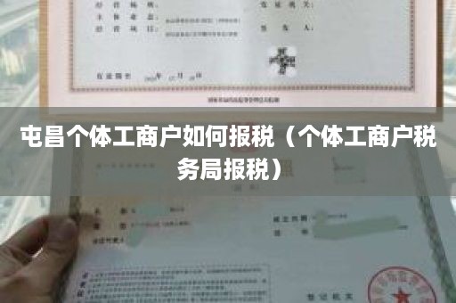 屯昌个体工商户如何报税（个体工商户税务局报税）