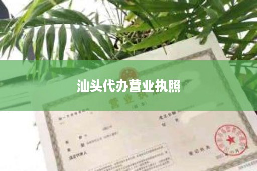 汕头代办营业执照