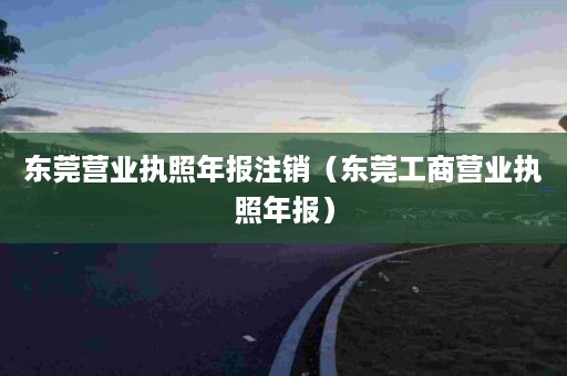 东莞营业执照年报注销（东莞工商营业执照年报）