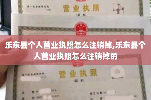 乐东县个人营业执照怎么注销掉,乐东县个人营业执照怎么注销掉的