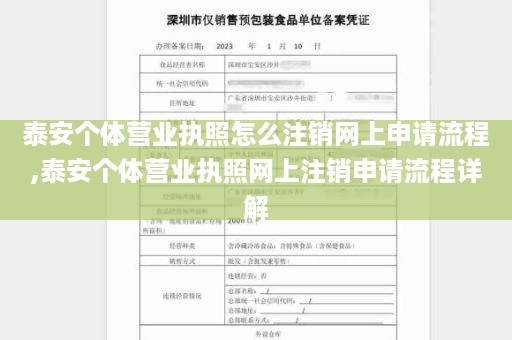 泰安个体营业执照怎么注销网上申请流程,泰安个体营业执照网上注销申请流程详解