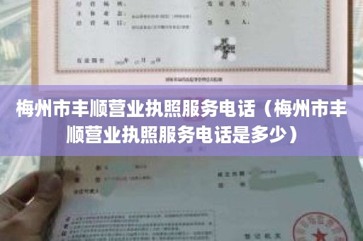 梅州市丰顺营业执照服务电话（梅州市丰顺营业执照服务电话是多少）