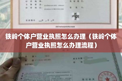 铁岭个体户营业执照怎么办理（铁岭个体户营业执照怎么办理流程）