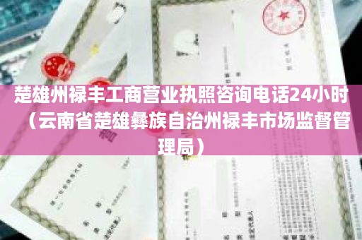 楚雄州禄丰工商营业执照咨询电话24小时（云南省楚雄彝族自治州禄丰市场监督管理局）