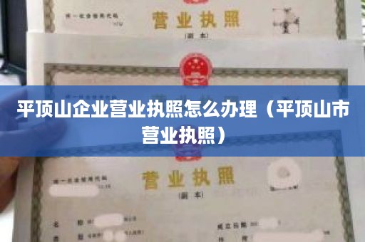 平顶山企业营业执照怎么办理（平顶山市营业执照）