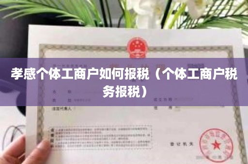 孝感个体工商户如何报税（个体工商户税务报税）