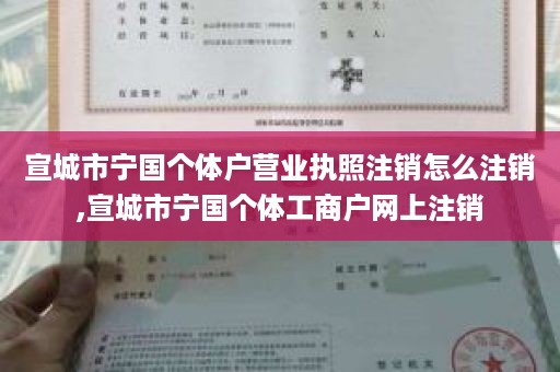 宣城市宁国个体户营业执照注销怎么注销,宣城市宁国个体工商户网上注销