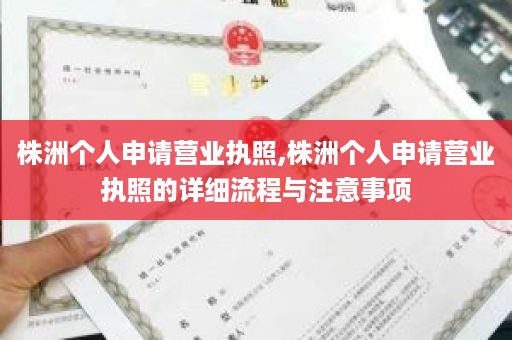 株洲个人申请营业执照,株洲个人申请营业执照的详细流程与注意事项