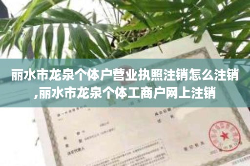 丽水市龙泉个体户营业执照注销怎么注销,丽水市龙泉个体工商户网上注销